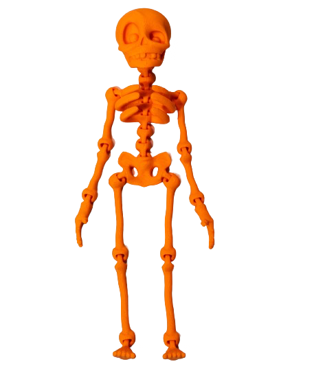 Flexi Skeleton