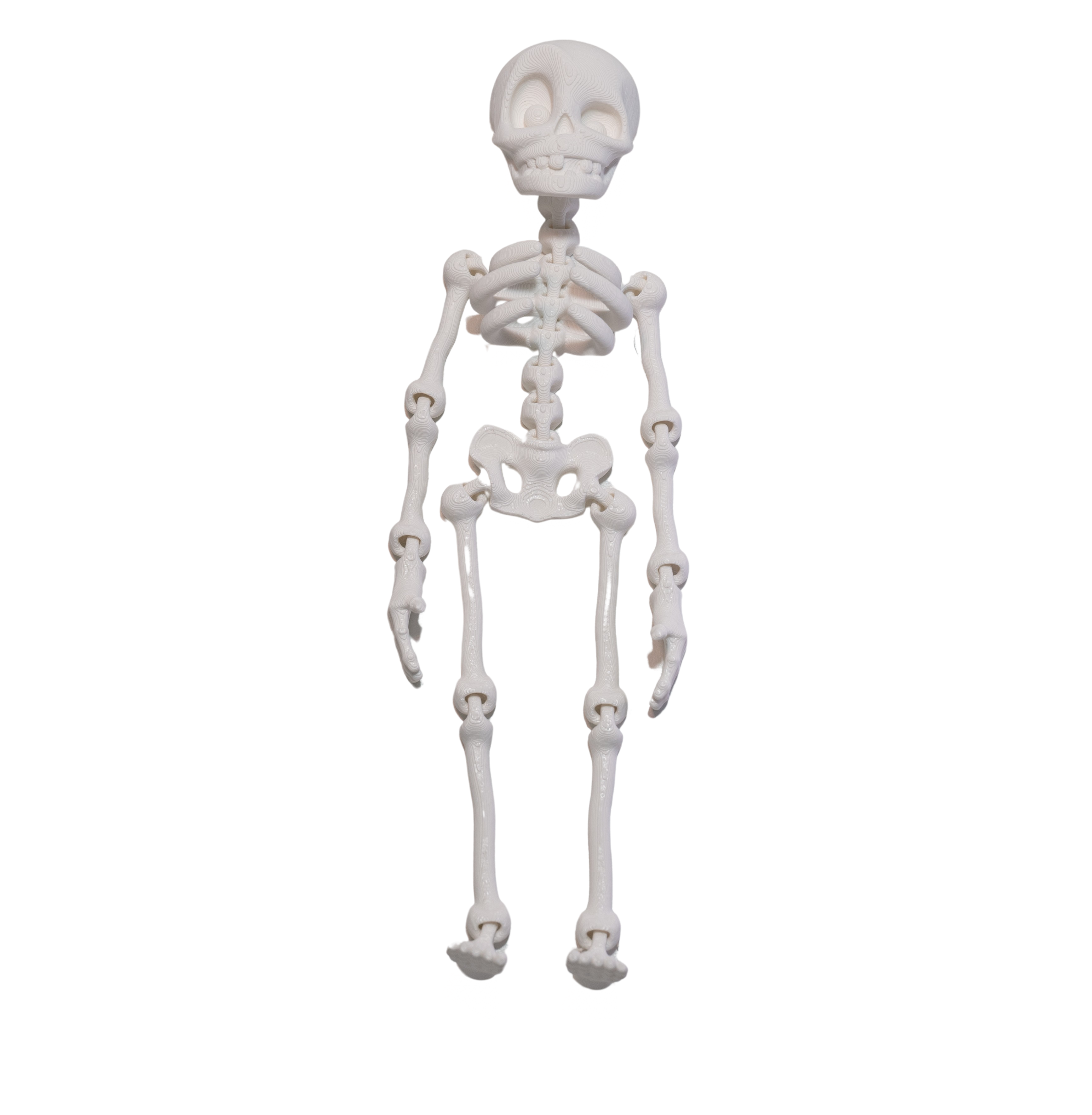 Flexi Skeleton