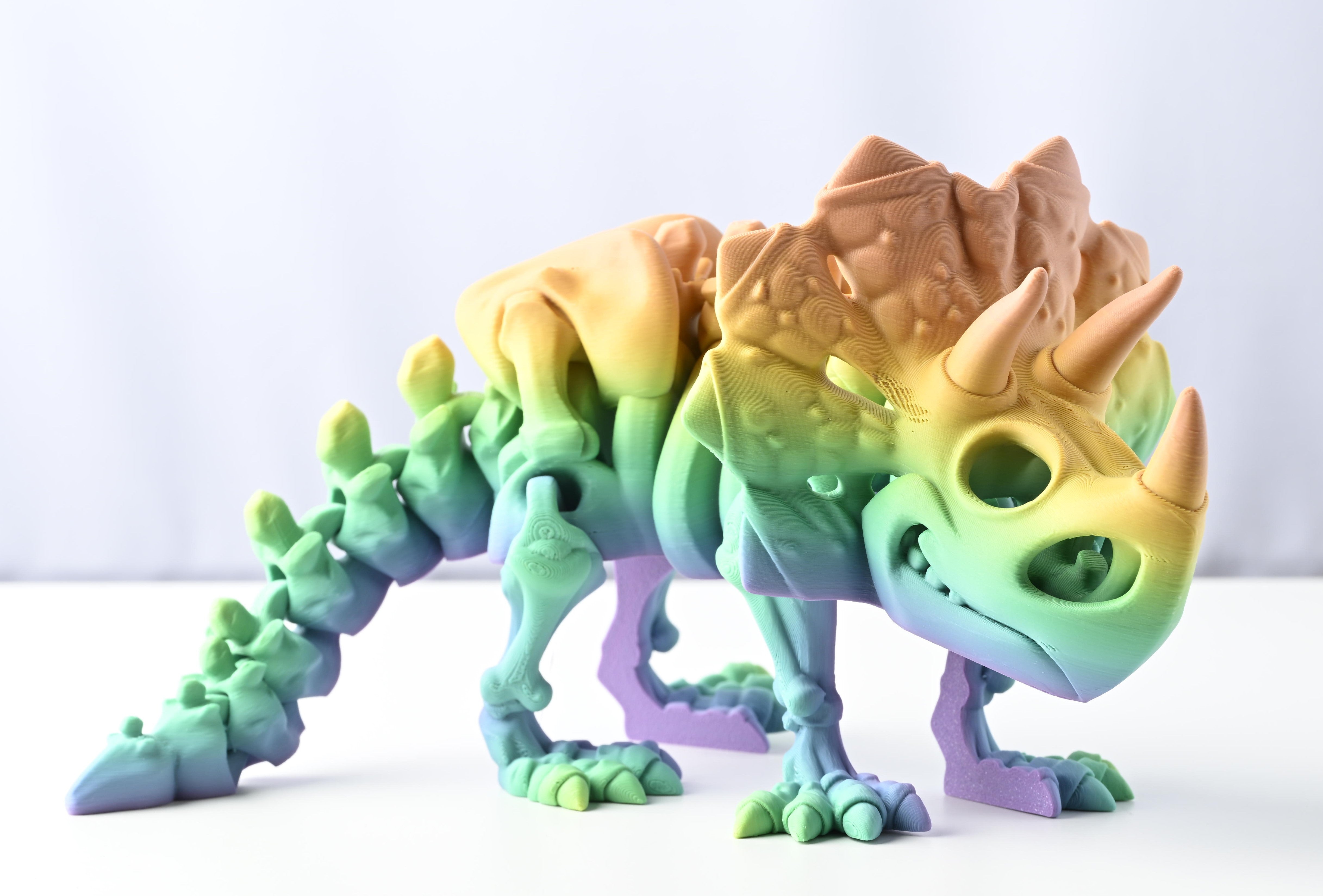 Skeleton Triceratops