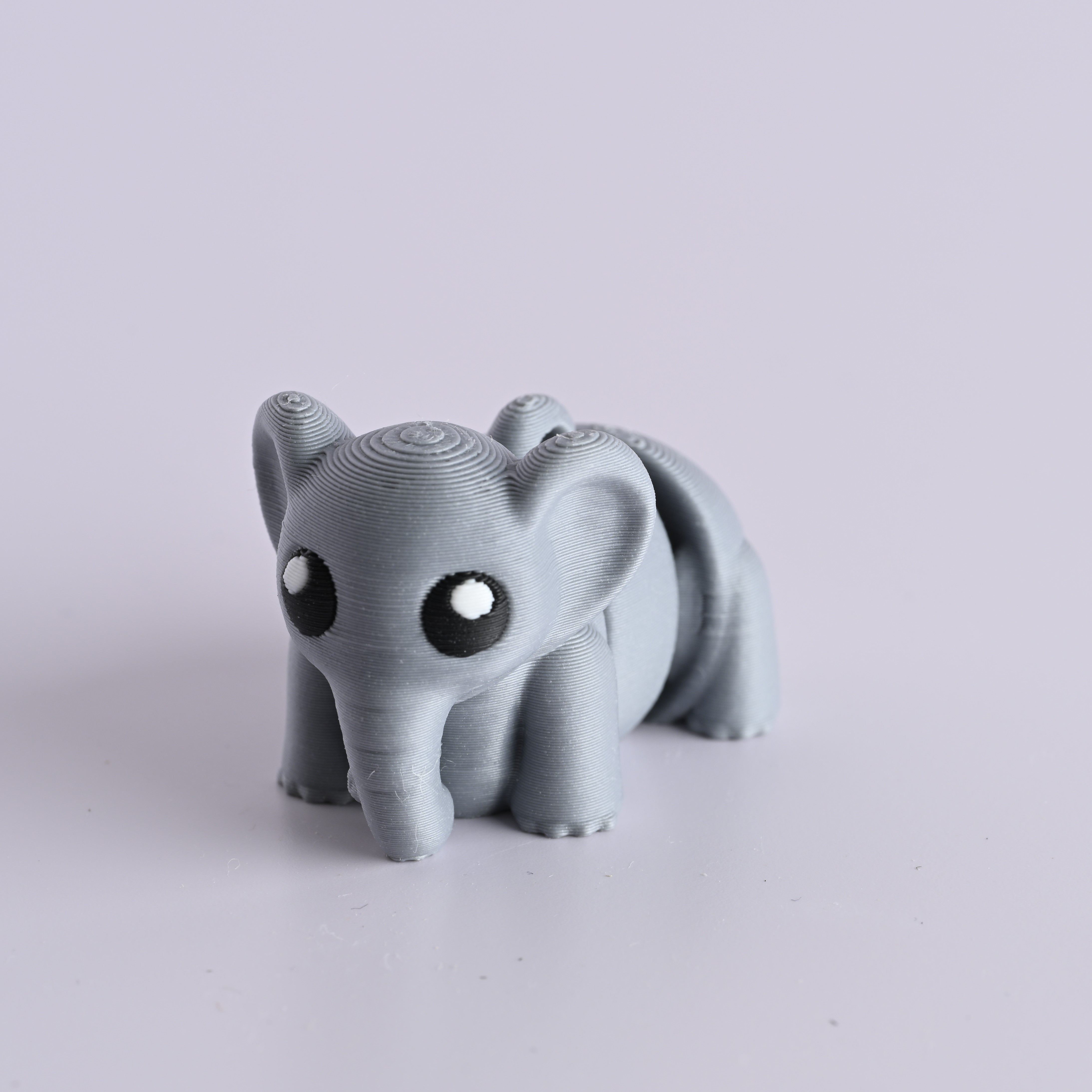 فيل | Baby Elephant