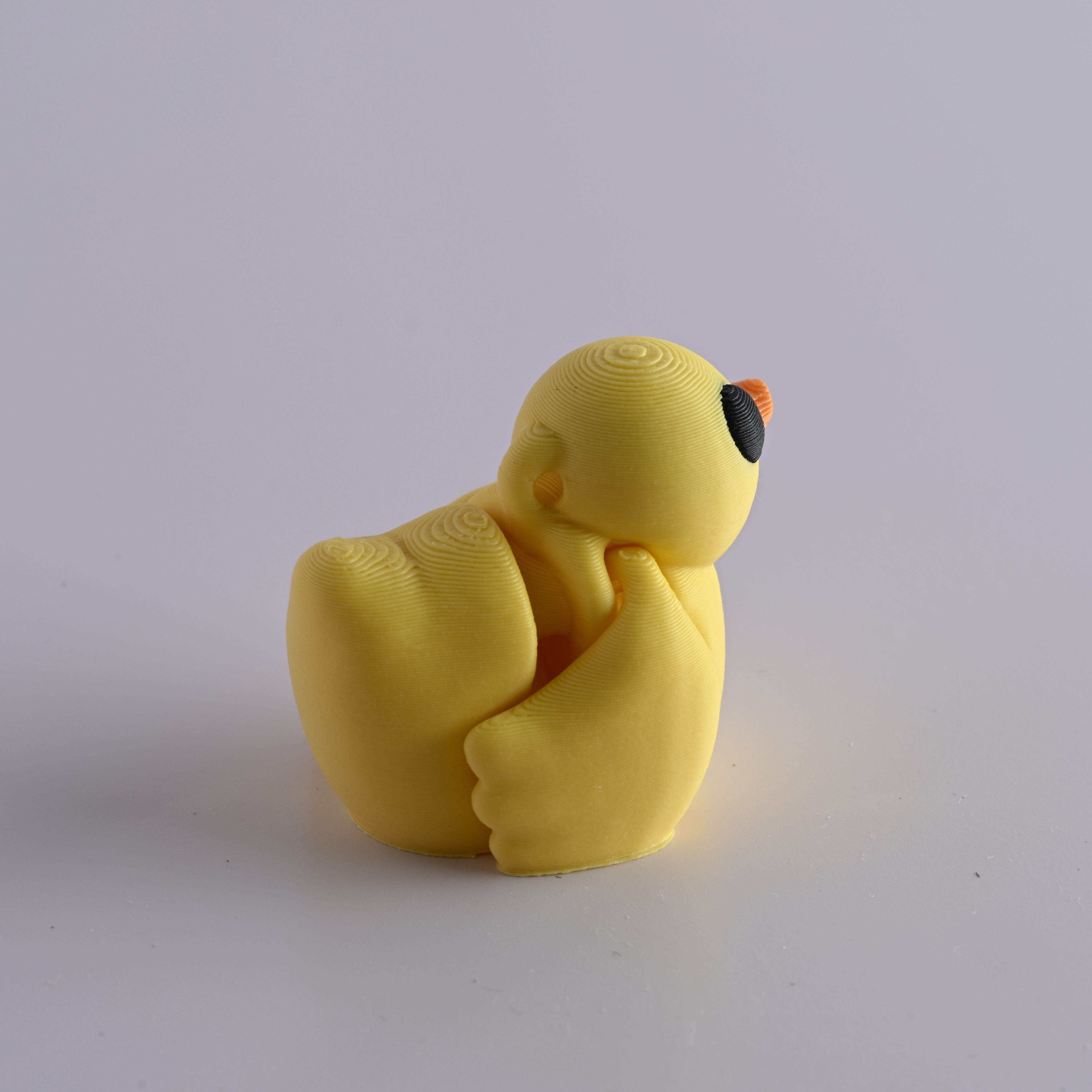 Baby Duck | بطة