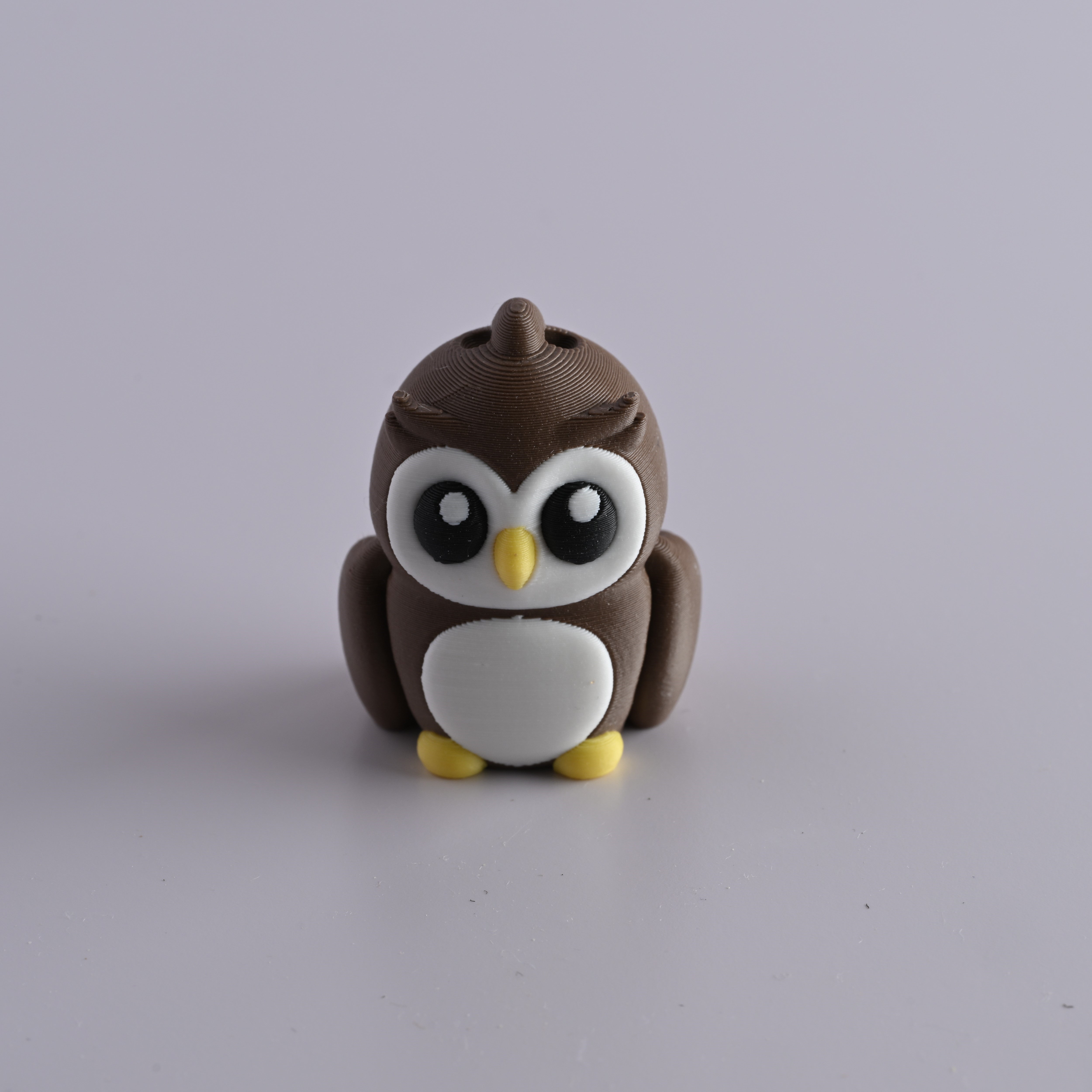 بومة | Baby Owl